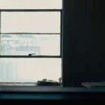 Errol Morris, Eric Olson