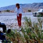 Natalie Portman, Susan Sarandon