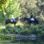 Gwyneth Paltrow, Martina Navratilova