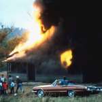 Ralph Macchio, Matt Dillon, Gailard Sartain, C. Thomas Howell, Teresa Wilkerson Hunt