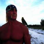 Hulk Hogan