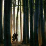 Owen Wilson, Kamil Koll&aacute;rik