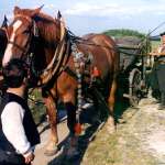 Jiř&iacute; Hol&yacute;, Ludovit Cittel, Martin Sitta