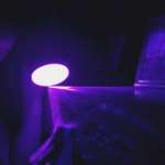 Hannah Emily Anderson