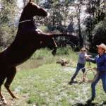 George Strait, Robert Redford