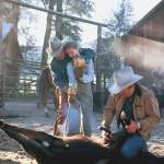 Scarlett Johansson, Robert Redford