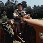 Louis de Fun&egrave;s