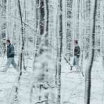 Elliott Todd Crosset Hove, Simon Sears