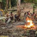 Santos Cardoso Rubens, Olivier Rabourdin, Mathieu Spinosi