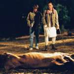 Brady Corbet, Mary Lynn Rajskub