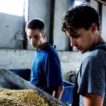 Kai Michael M&uuml;ller, Lukas Steltner