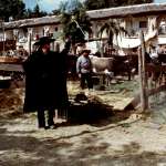 Alain Delon, Moustache
