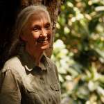 Jane Goodall