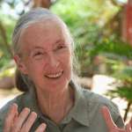 Jane Goodall