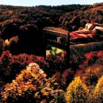 Slavko &Scaron;timac, Nata&scaron;a &Scaron;olak