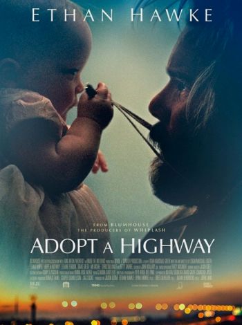 Adopt a Highway