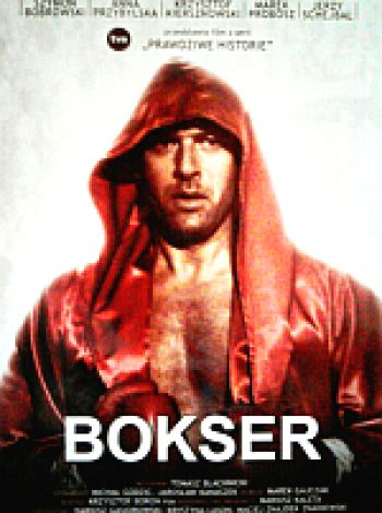 Bokser