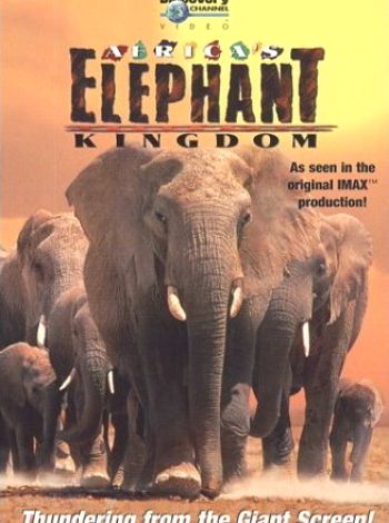 Królestwo słoni
