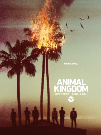 Królestwo zwierząt