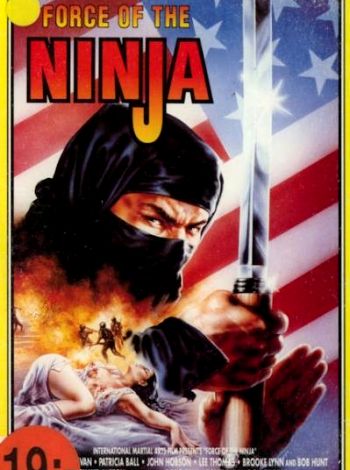 Misja ninja
