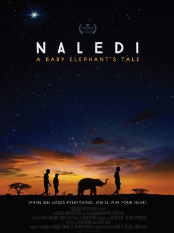 Naledi: A Baby Elephant's Tale
