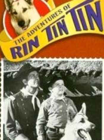 Przygody Rin Tin Tina