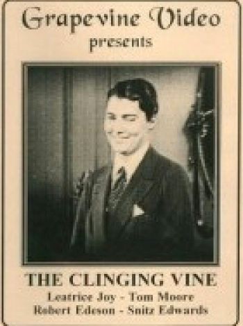 The Clinging Vine