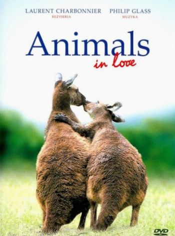 Zakochane zwierzęta